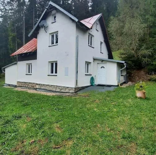 Hébergement de vacances Dům U Lesa - Nové Hamry