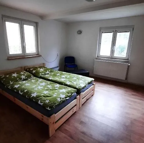Hébergement de vacances Dům U Lesa - *
