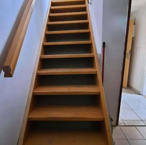 Dům U Lesa -