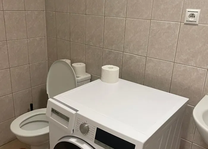 Dům U Lesa -
